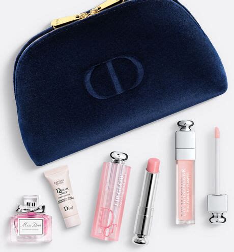 dior make up bag